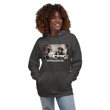 Load image into Gallery viewer, Abraham Lincoln Meme Unisex Hoodie
